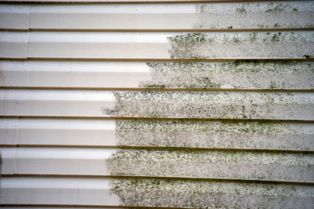 How To Choose The Right Materials for Your Siding Installation in 'Columbus, TX